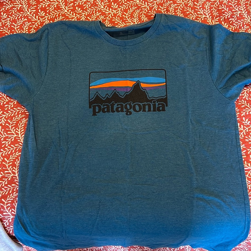 Patagonia T Shirt